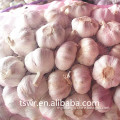 /msite/products/detail/productid/59942393/id/542998.html